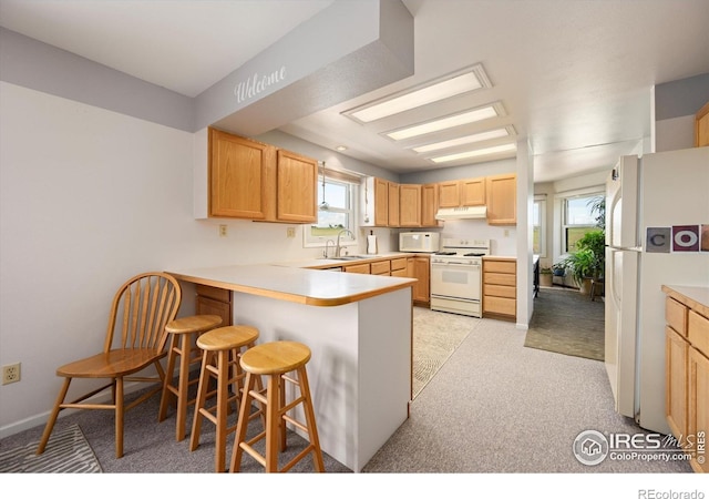 8504 County Road 84, Fort Collins, CO 80524 - photo 12