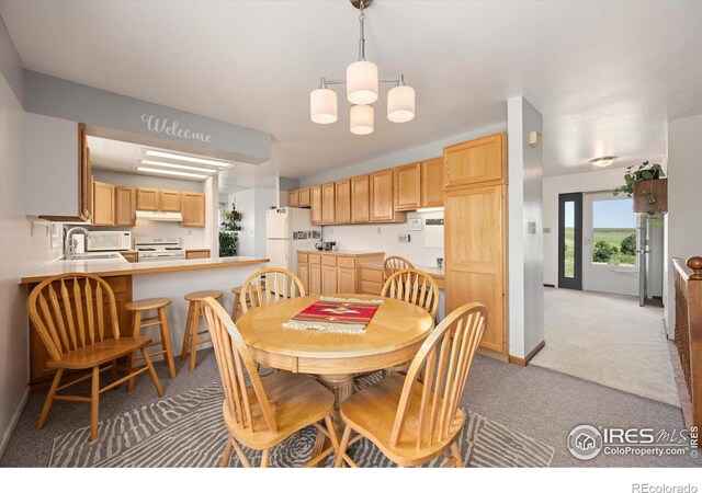 8504 County Road 84, Fort Collins, CO 80524 - photo 13