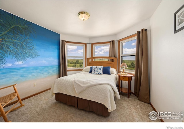 8504 County Road 84, Fort Collins, CO 80524 - photo 17