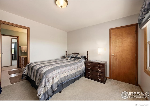 8504 County Road 84, Fort Collins, CO 80524 - photo 19