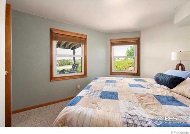 8504 County Road 84, Fort Collins, CO 80524 - photo 23