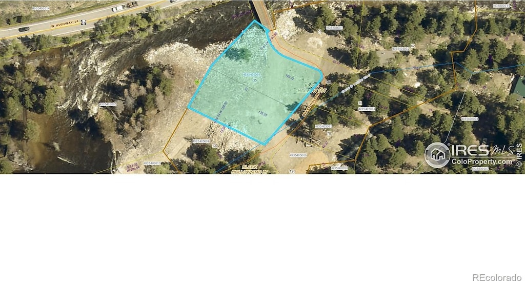 35 Black Hollow Rd, Bellvue, CO 80512 - photo 2