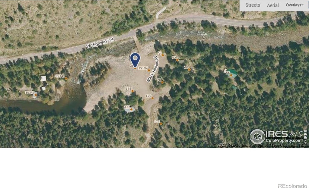 35 Black Hollow Rd, Bellvue, CO 80512 - photo 1