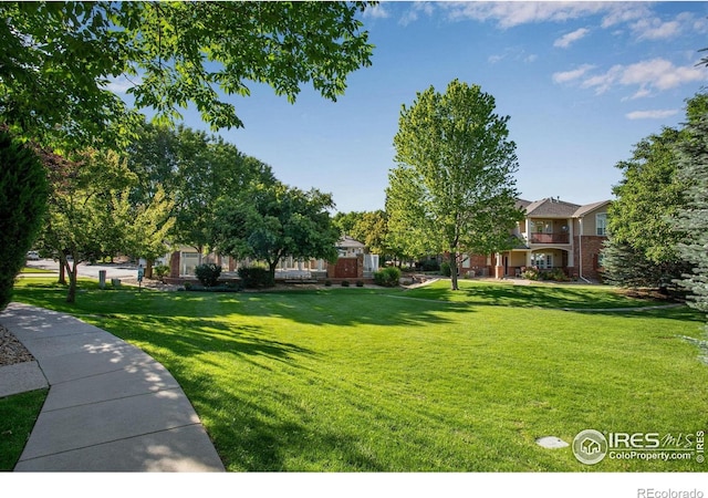 4672 W 20th Street Rd Unit 1311, Greeley, CO 80634 - view of grassy yard