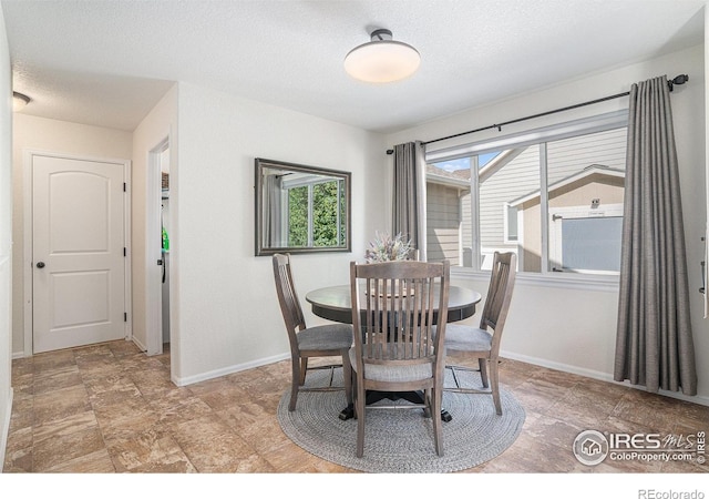 742 Valleybrook Dr, Windsor, CO 80550 - photo 8