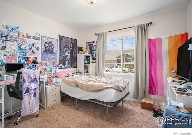 742 Valleybrook Dr, Windsor, CO 80550 - photo 15