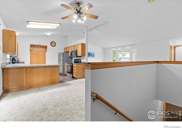 1131 Patricia Dr, Loveland, CO 80537 - photo 9