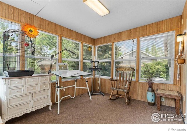 1131 Patricia Dr, Loveland, CO 80537 - photo 24
