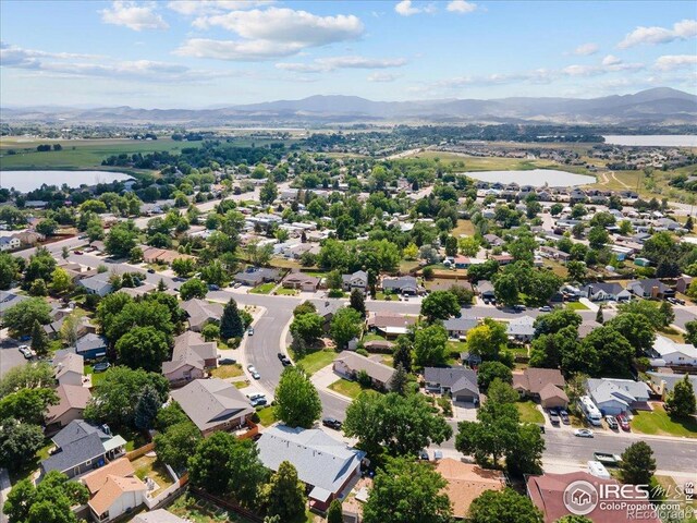 1131 Patricia Dr, Loveland, CO 80537 - photo 38