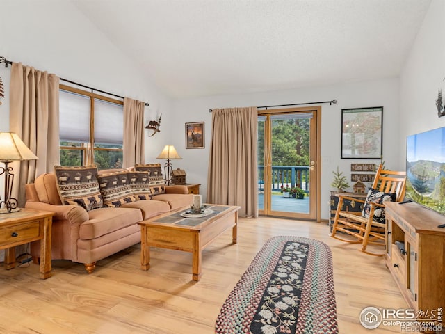 1316 Kinnikinnic Ct, Estes Park, CO 80517 - living room with light wood-style flooring and lofted ceiling