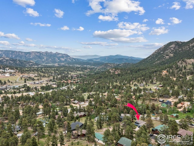1316 Kinnikinnic Ct, Estes Park, CO 80517 - mountain view