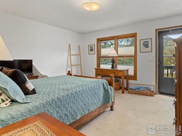 1316 Kinnikinnic Ct, Estes Park, CO 80517 - bedroom with light colored carpet, multiple windows, and a textured ceiling