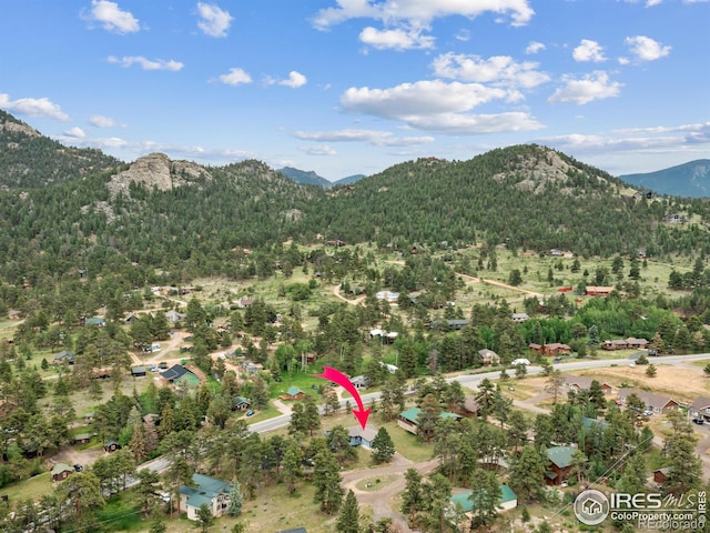 1316 Kinnikinnic Ct, Estes Park, CO 80517 - view of mountain backdrop featuring a forest