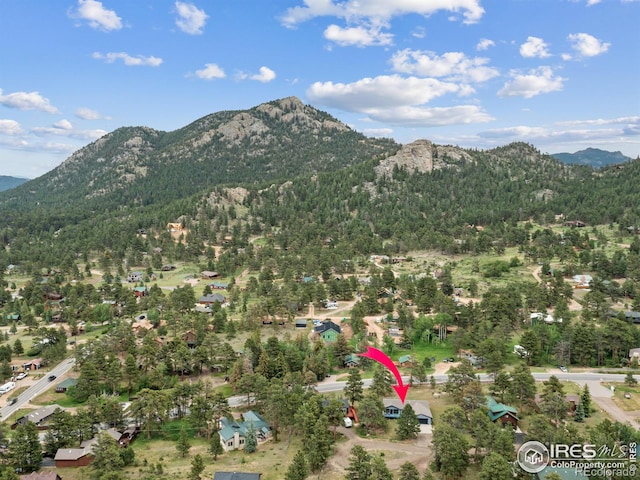 1316 Kinnikinnic Ct, Estes Park, CO 80517 - mountain view with a heavily wooded area