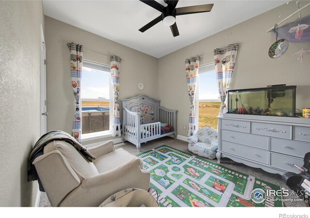 7566 County Road P.3, Wiggins, CO 80654 - photo 12