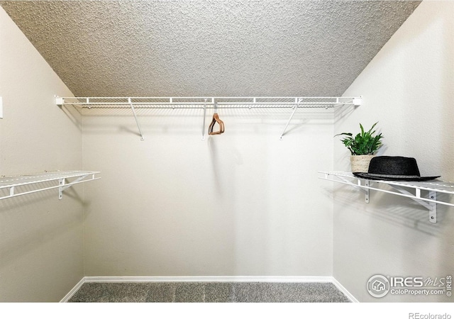 1876 Mallard Dr, Superior, CO 80027 - photo 21