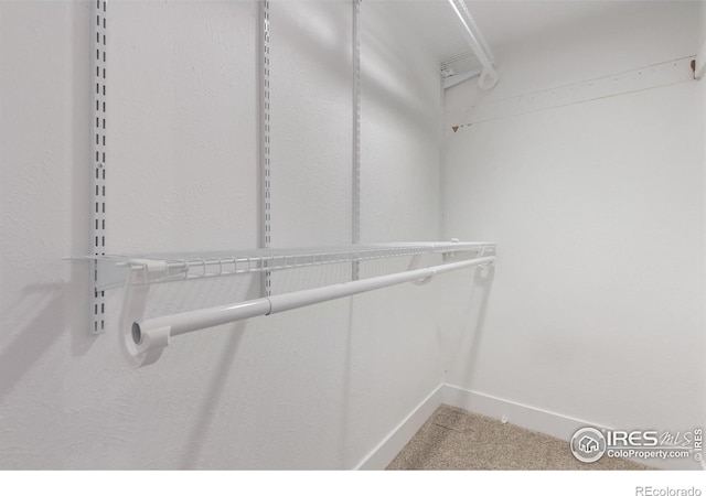 8696 W 86th Cir, Arvada, CO 80005 - walk in closet featuring carpet