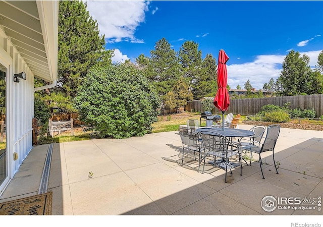 6668 Walker Ct, Niwot, CO 80503 - photo 23