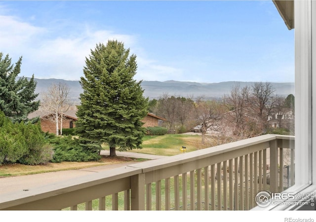 6668 Walker Ct, Niwot, CO 80503 - photo 32