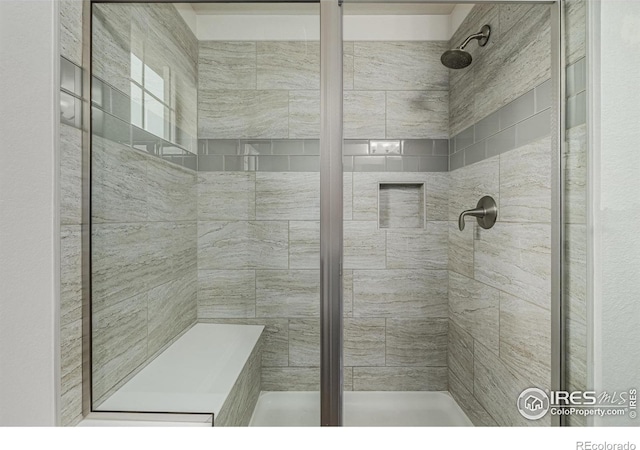 619 Brennan Cir, Erie, CO 80516 - bathroom with a shower stall