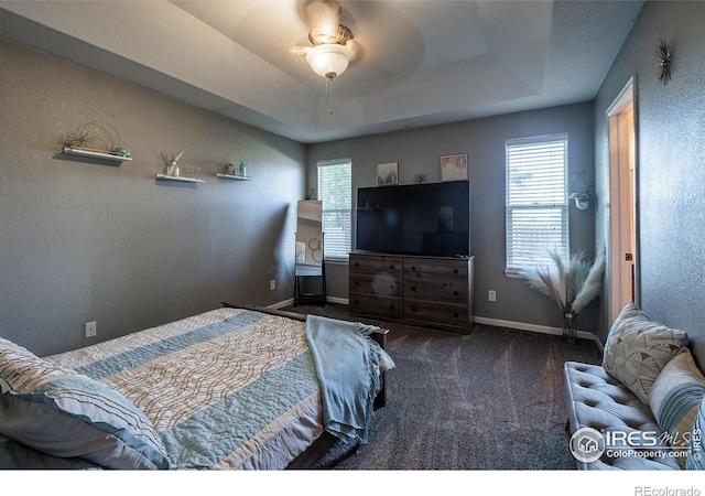 14053 Cottonwood Cir, Sterling, CO 80751 - bedroom with carpet, a raised ceiling, and ceiling fan