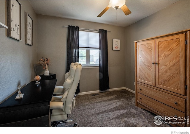 14053 Cottonwood Cir, Sterling, CO 80751 - office featuring carpet and ceiling fan