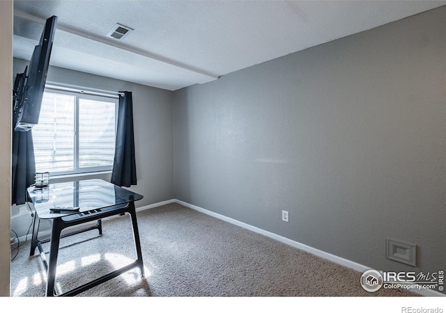 14053 Cottonwood Cir, Sterling, CO 80751 - office space with carpet and baseboards