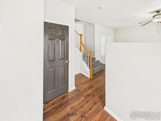12912 Grant Cir E # A, Thornton, CO 80241 - foyer with dark wood-style floors, ceiling fan, and stairway