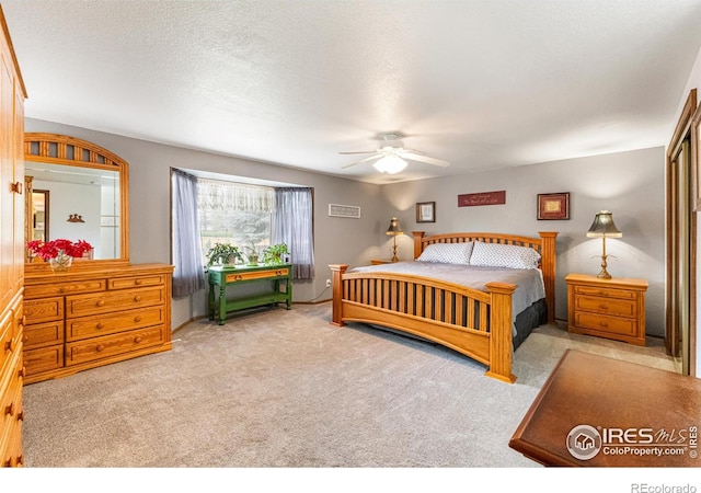628 Chestnut Dr, Loveland, CO 80538 - photo 19