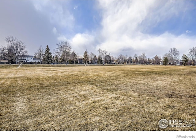 1379 Charles Dr Unit 4, Longmont, CO 80503 - photo 15