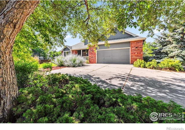2231 Timber Creek Dr, Fort Collins, CO 80528 - photo 4