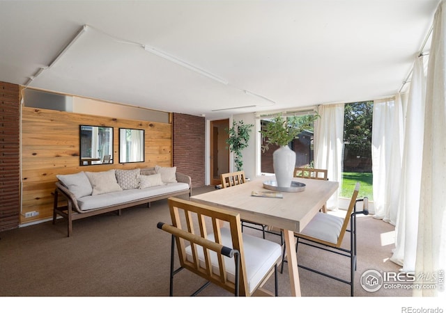 600 Monte Vista Ave, Fort Collins, CO 80521 - dining space with wood walls and carpet flooring