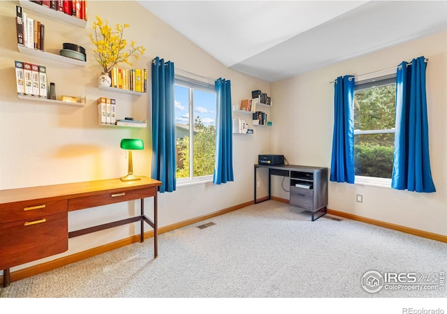 2324 Plains Ct, Fort Collins, CO 80521 - photo 20