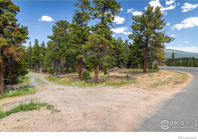 24333 Peak To Peak Hwy, Nederland, CO 80466