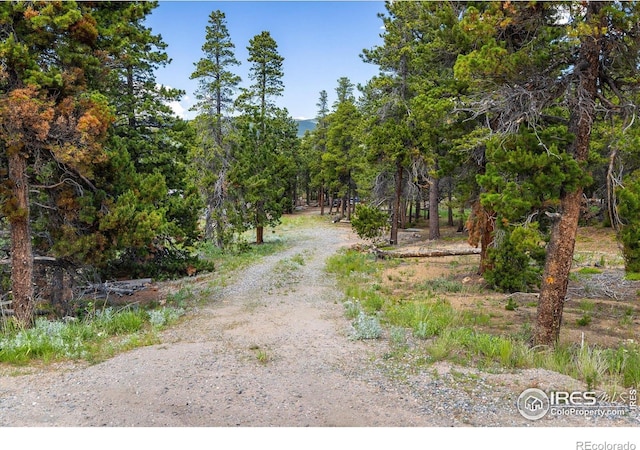 24333 Peak To Peak Hwy, Nederland, CO 80466