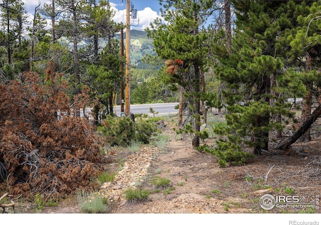 24333 Peak To Peak Hwy, Nederland, CO 80466