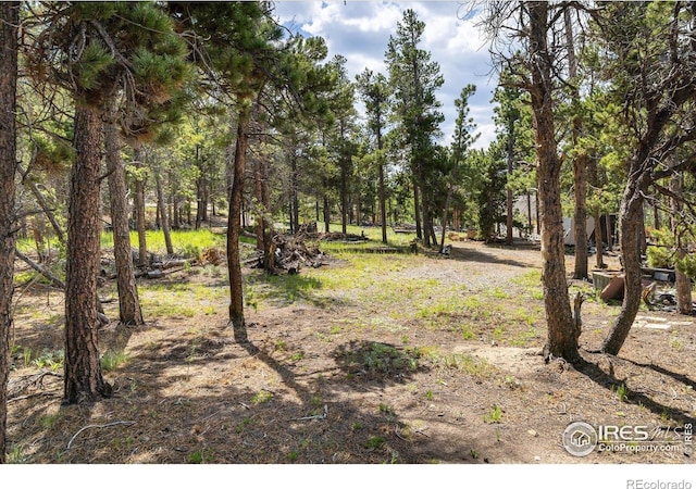 24333 Peak To Peak Hwy, Nederland, CO 80466