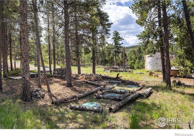 24333 Peak To Peak Hwy, Nederland, CO 80466