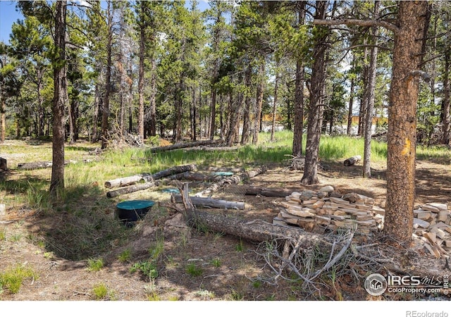 24333 Peak To Peak Hwy, Nederland, CO 80466