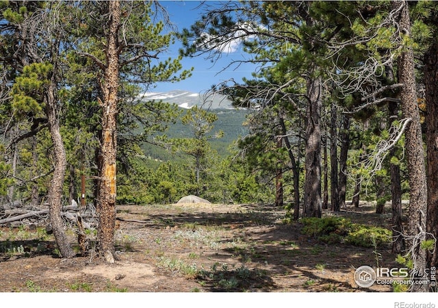 24333 Peak To Peak Hwy, Nederland, CO 80466