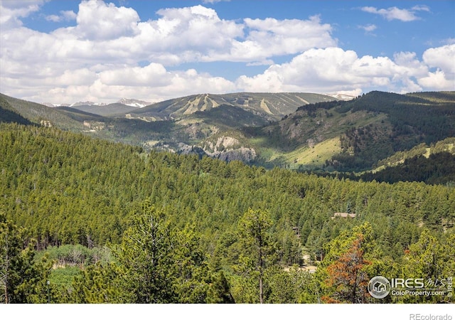 24333 Peak To Peak Hwy, Nederland, CO 80466