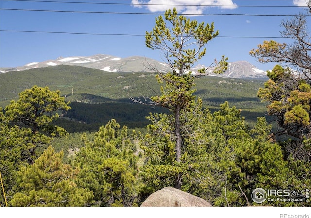 24333 Peak To Peak Hwy, Nederland, CO 80466
