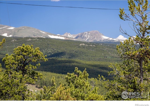 24333 Peak To Peak Hwy, Nederland, CO 80466