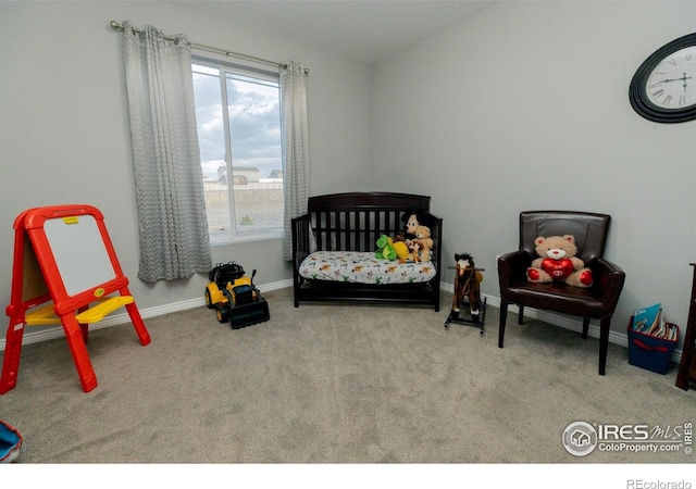 16301 Hudson Rd, Hudson, CO 80642 - photo 19