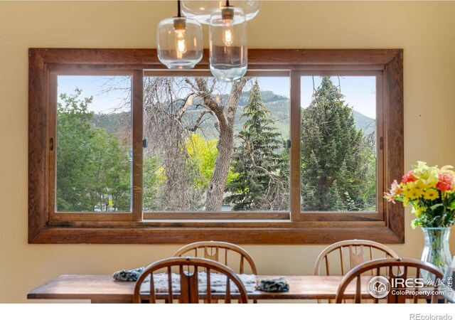 208 Main St, Lyons, CO 80540 - photo 8