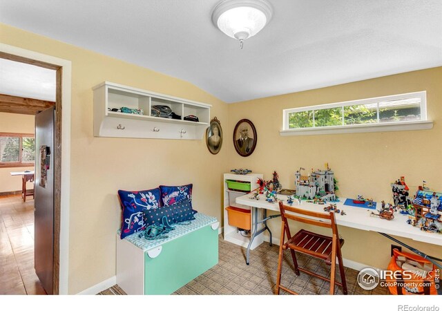 208 Main St, Lyons, CO 80540 - photo 21
