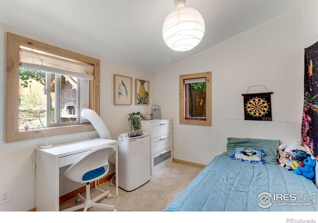208 Main St, Lyons, CO 80540 - photo 22