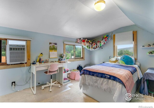 208 Main St, Lyons, CO 80540 - photo 25
