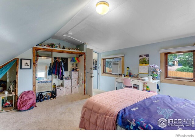 208 Main St, Lyons, CO 80540 - photo 26