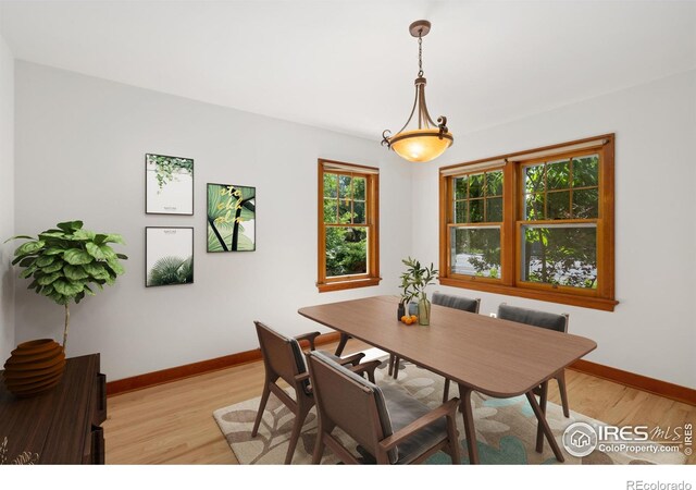 1220 9th Ave, Longmont, CO 80501 - photo 9